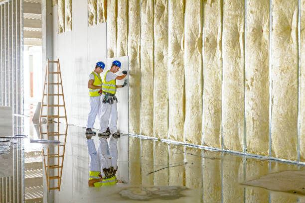 Best Insulation Maintenance and Repair in Oak Ridge North, TX
